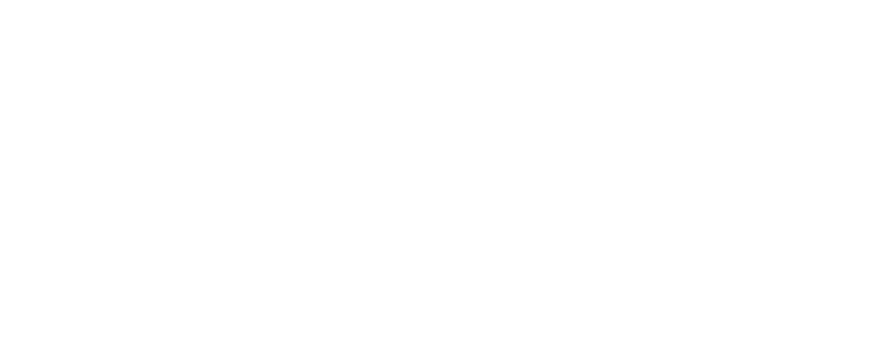 Testudo Game Studios